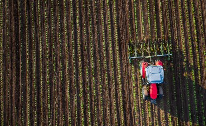 One research project aims to develop crop yield prediction systems using satellite data and biophysical crop modelling. iStockphoto